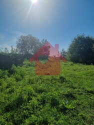 Продаж ділянки Малі Селменці фото 4 Продаж ділянки Малі Селменці фото 4