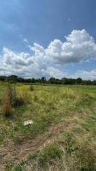 Продаж ділянки Берегове! фото 1 Продаж ділянки Берегове! фото 1