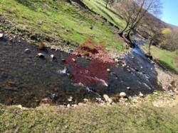 Продаж 1 Гектара землі в с. Худльово фото 8 Продаж 1 Гектара землі в с. Худльово фото 8