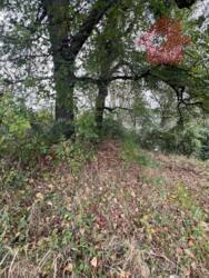 Продаж чудових ділянок в с.Кам'яниця фото 2 Продаж чудових ділянок в с.Кам'яниця фото 2