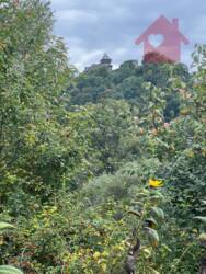 Продаж чудових ділянок в с.Кам'яниця фото 1 Продаж чудових ділянок в с.Кам'яниця фото 1