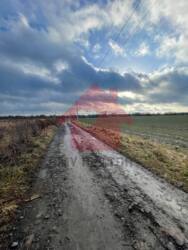 Продаж земельних ділянок у Сторожниці (урочище сад) фото 6 Продаж земельних ділянок у Сторожниці (урочище сад) фото 6