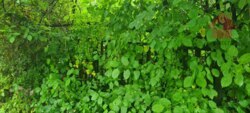 Продаж ділянки над озером Шамбала! фото 8 Продаж ділянки над озером Шамбала! фото 8