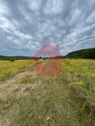 Продається ділянка Закарпатська, Ужгородський, Невицьке, Невицьке фото 9 Продається ділянка Закарпатська, Ужгородський, Невицьке, Невицьке фото 9