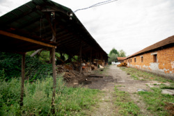 Продаж земельної ділянки з фермою та пилорамою фото 8 Продаж земельної ділянки з фермою та пилорамою фото 8