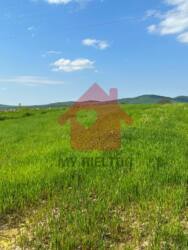 Середнє, урочище Грабини, 13.48 сотин, 5700$ ціна фото 1 Середнє, урочище Грабини, 13.48 сотин, 5700$ ціна фото 1