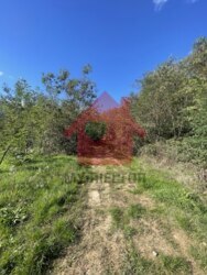 Продаж ділянки в Підлипниках 18 сот фото 2 Продаж ділянки в Підлипниках 18 сот фото 2