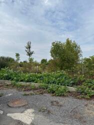 Продаж земельної ділянки в Мукачеві, Паланок! фото 4 Продаж земельної ділянки в Мукачеві, Паланок! фото 4