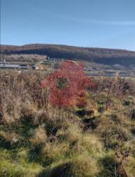 Продаж ділянки в с. Циганівці! фото 5 Продаж ділянки в с. Циганівці! фото 5