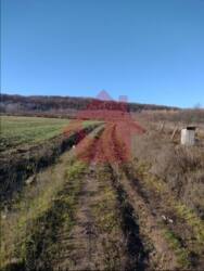 Продаж ділянки в с. Циганівці! фото 4 Продаж ділянки в с. Циганівці! фото 4