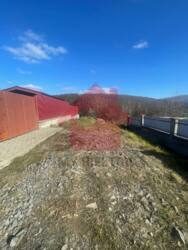 Продаж ділянки у с. Камʼяниця! фото 1 Продаж ділянки у с. Камʼяниця! фото 1