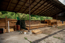 Продаж земельної ділянки з фермою та пилорамою фото 12 Продаж земельної ділянки з фермою та пилорамою фото 12