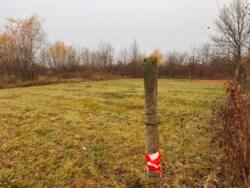 Продаж 5 земельних ділянок біля Сдовацького кордону. фото 4 Продаж 5 земельних ділянок біля Сдовацького кордону. фото 4