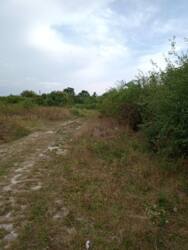 Продаж ділянки! фото 1 Продаж ділянки! фото 1