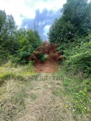 Продається ділянка Закарпатська, Ужгородський, Кам'яниця, Камяниця фото 6 Продається ділянка Закарпатська, Ужгородський, Кам'яниця, Камяниця фото 6