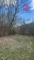 ������ ������ �� ������������ ����������! ���� 5