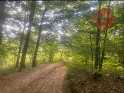 Продаж Ділянки фото 2 Продаж Ділянки фото 2