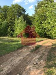 Продаж ділянки 10 сот. с. Осій фото 9 Продаж ділянки 10 сот. с. Осій фото 9