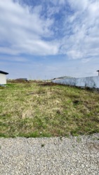 ������ ����, 5 ����� . ���� 1