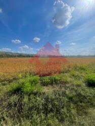 Продаж ділянки в Барвінку біля міжнародної траси Київ Чоп! фото 6 Продаж ділянки в Барвінку біля міжнародної траси Київ Чоп! фото 6