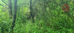Продаж ділянки над озером Шамбала! фото 4 Продаж ділянки над озером Шамбала! фото 4