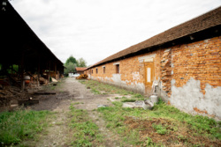 Продаж земельної ділянки з фермою та пилорамою фото 5 Продаж земельної ділянки з фермою та пилорамою фото 5