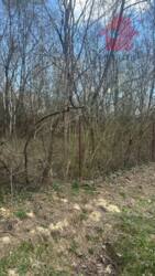 ������ ������ �� ������������ ����������! ���� 3