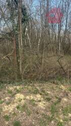 ������ ������ �� ������������ ����������! ���� 2