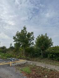 Продаж земельної ділянки в Мукачеві, Паланок! фото 3 Продаж земельної ділянки в Мукачеві, Паланок! фото 3