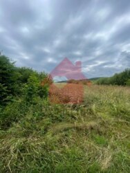 Продається ділянка Закарпатська, Ужгородський, Кам'яниця, Камяниця фото 5 Продається ділянка Закарпатська, Ужгородський, Кам'яниця, Камяниця фото 5