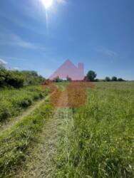 Продаж знмельної ділянки с.Ботфалва! фото 2 Продаж знмельної ділянки с.Ботфалва! фото 2