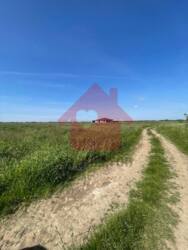 Продаж знмельної ділянки с.Ботфалва! фото 3 Продаж знмельної ділянки с.Ботфалва! фото 3