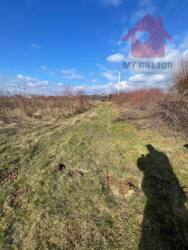 ������ �������� ������ - ����.������ ���� 4