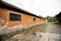 Продаж земельної ділянки з фермою та пилорамою фото 11 Продаж земельної ділянки з фермою та пилорамою фото 11