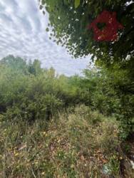 Продаж чудових ділянок в с.Кам'яниця фото 5 Продаж чудових ділянок в с.Кам'яниця фото 5