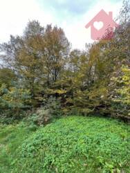 Продаж ділянки с. Гута фото 7 Продаж ділянки с. Гута фото 7