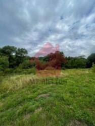 Продається ділянка Закарпатська, Ужгородський, Кам'яниця, Камяниця фото 9 Продається ділянка Закарпатська, Ужгородський, Кам'яниця, Камяниця фото 9