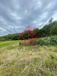 Продається ділянка Закарпатська, Ужгородський, Кам'яниця, Камяниця фото 8 Продається ділянка Закарпатська, Ужгородський, Кам'яниця, Камяниця фото 8