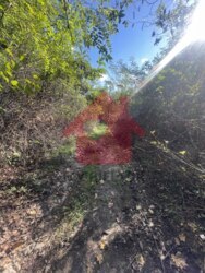 Продаж ділянки в Підлипниках 18 сот фото 3 Продаж ділянки в Підлипниках 18 сот фото 3