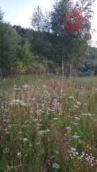 ������ �������� ������ �� ����������! ���� 3