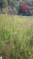 ������ �������� ������ �� ����������! ���� 2