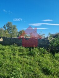 Продаж ділянки Малі Селменці фото 1 Продаж ділянки Малі Селменці фото 1