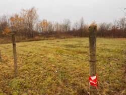 Продаж 5 земельних ділянок біля Сдовацького кордону. фото 2 Продаж 5 земельних ділянок біля Сдовацького кордону. фото 2