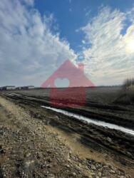 Продаж ділянки 1 Га ОСГ в Сторожниці фото 5 Продаж ділянки 1 Га ОСГ в Сторожниці фото 5