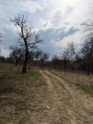 Продаж ділянки для ведення фермерського господарства в селі Гута фото 5 Продаж ділянки для ведення фермерського господарства в селі Гута фото 5