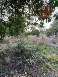 Продається чудова ділянка м.Ужгород фото 8 Продається чудова ділянка м.Ужгород фото 8