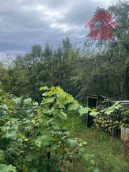 Продаж земельної ділянки с.Камяниця! фото 4 Продаж земельної ділянки с.Камяниця! фото 4