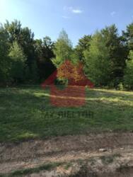Продаж ділянки 10 сот. с. Осій фото 4 Продаж ділянки 10 сот. с. Осій фото 4