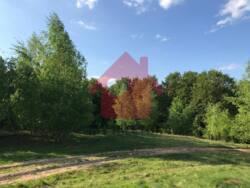 Продаж ділянки 10 сот. с. Осій фото 3 Продаж ділянки 10 сот. с. Осій фото 3