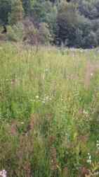 Продаж земелтної ділянки під будівництво! фото 2 Продаж земелтної ділянки під будівництво! фото 2